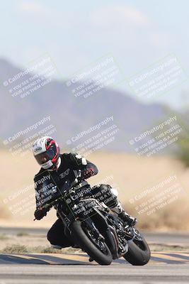 media/Oct-13-2025-Moto Forza (Mon) [[a66d839500]]/3-B Group/Session 4 Turn 4 Tree of Life/